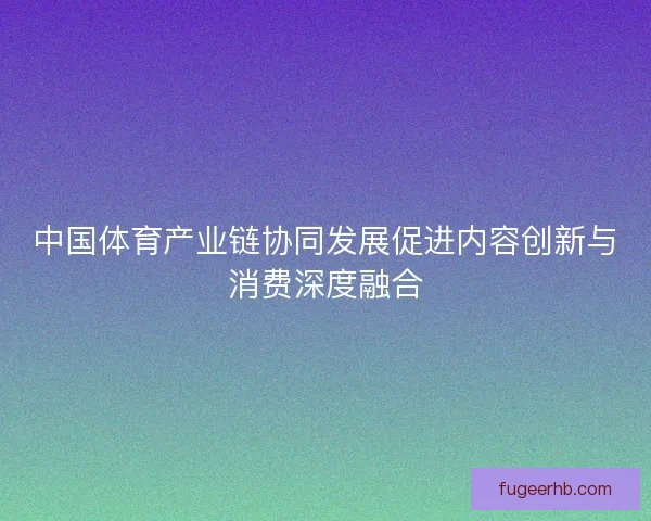 中国体育产业链协同发展促进内容创新与消费深度融合